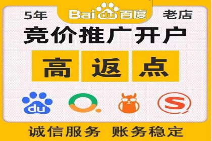 网络推广与竞价策略实战案例